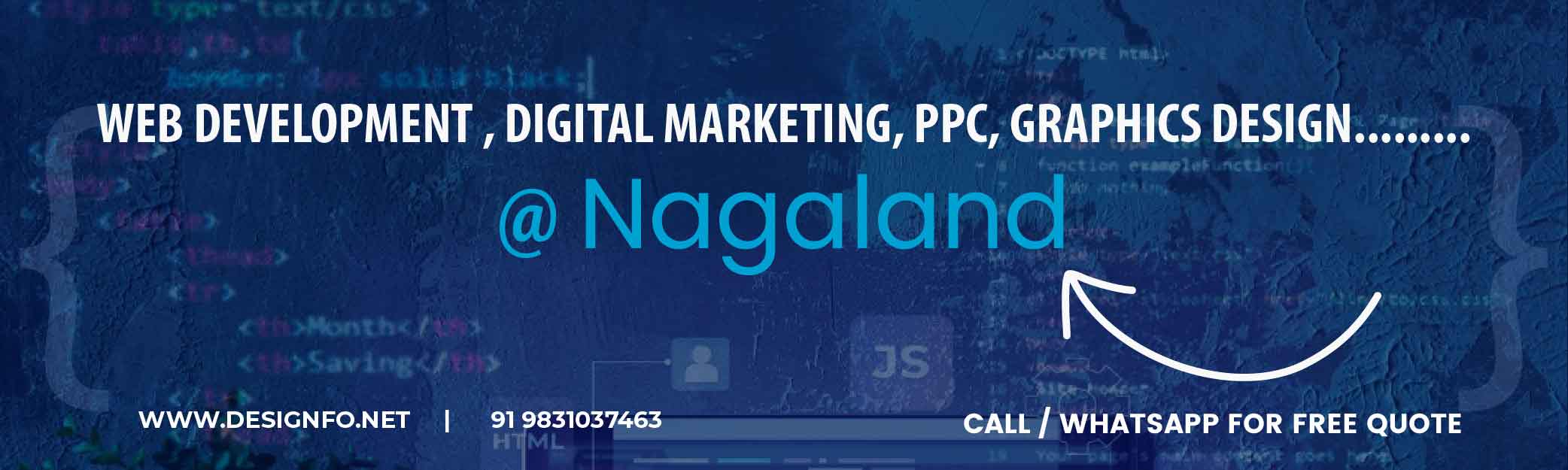 web development service in nagaland